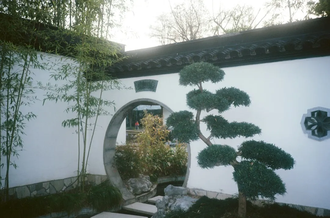 杭州私家庭院设计如何兼顾中式韵味与现代功能：方案要点与落地实践正文配图 2